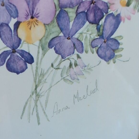 Anna Macleod Floral Bouquet Water Color Framed Art Picture - Picture 2 of 13